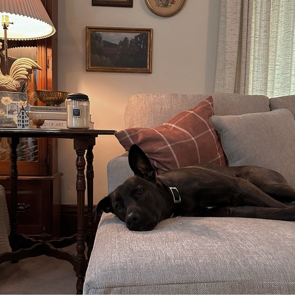 Meet your Posher, Sierra - Picture 2 of 14